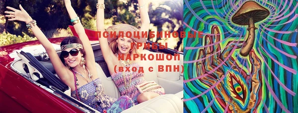 стафф Магадан
