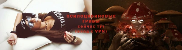 стафф Магадан