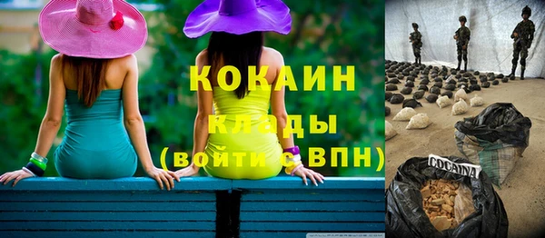 СК Бронницы