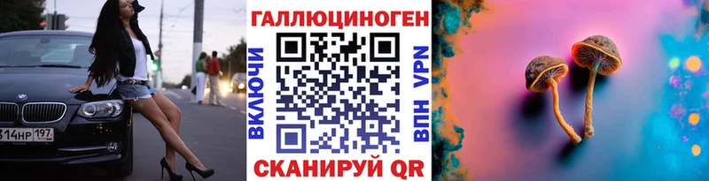 Галлюциногенные грибы Cubensis  купить наркотик  ОМГ ОМГ ССЫЛКА  Хилок 
